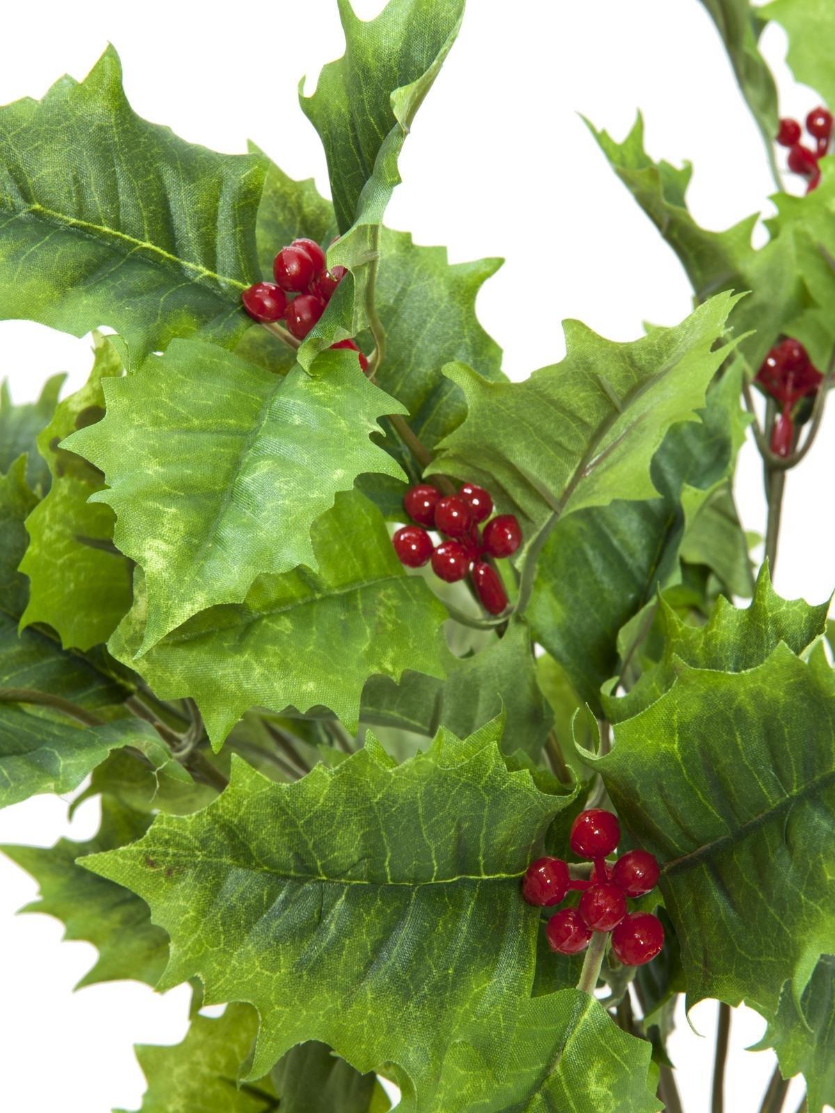 EUROPALMS Stechlaub 43cm (83500565)