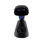 Datalogic Batterie removable (RBP-QBT25-BK)