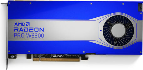 AMD Radeon Pro W6600 (100-506159)