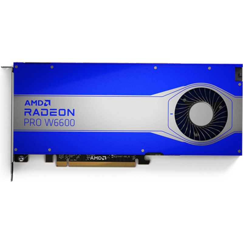AMD Radeon Pro W6600 Grafikkarten Radeon Pro W6600 100-506159