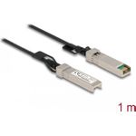 Delock Direktanschlusskabel (84200)