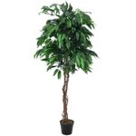 EUROPALMS Dschungelbaum Mango, Kunstpflanze, 180cm (82506726)