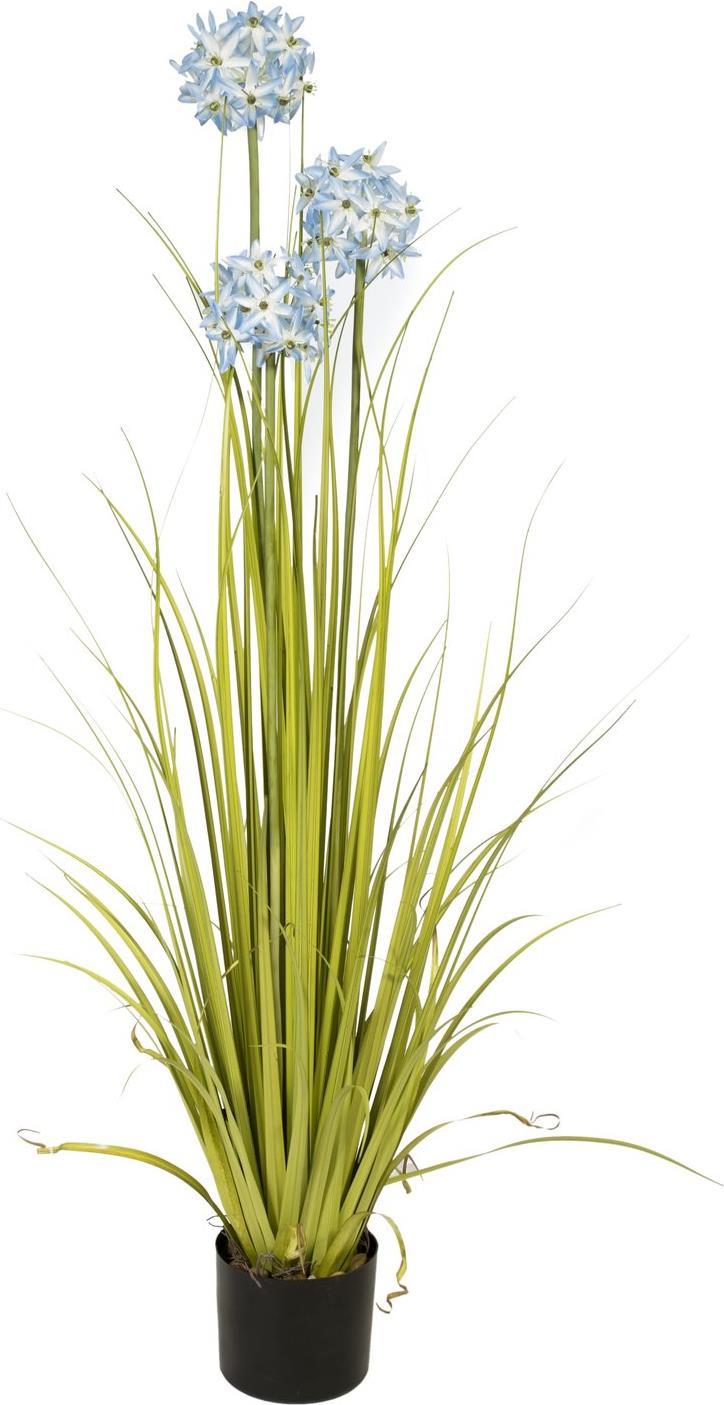 EUROPALMS Alliumgras, Kunstpflanze, blau, 120 cm (82600168)