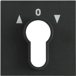 GIRA Abdeckung Schlüsselschalter System 55, Standard 55, E2, Event, Event Klar, Event Opak, Esprit, ClassiX Anthrazit 0 (066428)