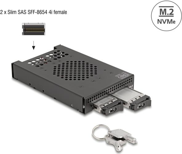 DeLOCK 3.5? Wechselrahmen für 2 x M.2 NVMe SSD mit Slim SAS SFF-8654 Anschluss (47117)