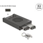 DeLOCK 3.5? Wechselrahmen für 2 x M.2 NVMe SSD mit Slim SAS SFF-8654 Anschluss (47117)