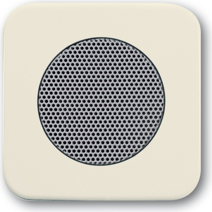 Busch-Jaeger 2CKA008200A0076 Interkom-System-Zubehör Aufspannplatte (2CKA008200A0076)