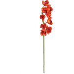 EUROPALMS Cymbidiumzweig, künstlich, rot, 90cm (82530315)