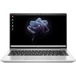 HP Elite Mobile Thin Client mt645 G7 (74S15AA#ABD)