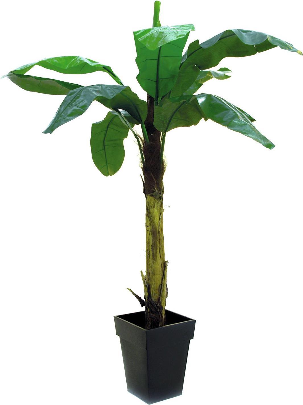 EUROPALMS Bananenbaum, Kunstpflanze, 210cm (82509507)