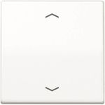 AS 1700 P WW Steuertaste Standard Symbole Pfeile (AS1700PWW)