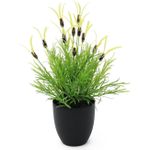 EUROPALMS Federlattich, künstlich, 40cm (82505639)