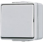 JUNG Wippschalter 607W WG600 IP44 Kreuz 607W (607W)
