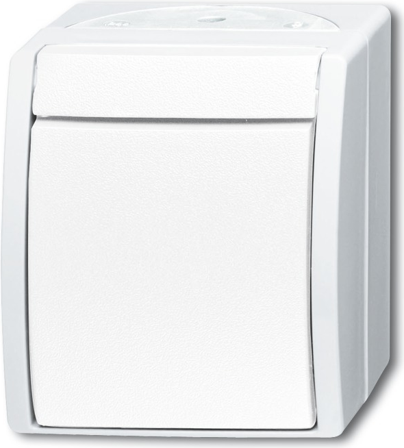 BUSCH-JAEGER Wipptaster/Schliesser 2621W-54 ocean alpinweiss 2621W-54 (1484-0-0380)