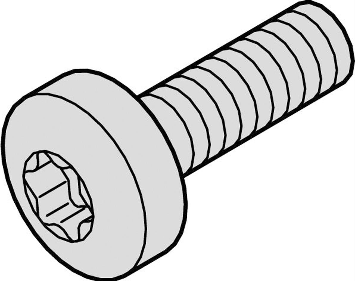 SCHROFF Torx Linsenkopfschraube - NTS MS LINSHR M4X10 100STK (24571372)