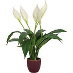 EUROPALMS Einblatt, Kunstpflanze, 60cm (82505660)