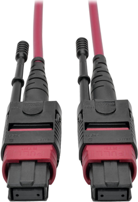 Tripp Lite N845-03M-12-MG 100G MTP/MPO Multimode-Glasfaserkabel OM4 (Buchse/Buchse) Plenum-eingestuft (N845-03M-12-MG)