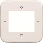 Busch-Jaeger Zentralscheibe 8252-214-101 (2CKA008200A0239)