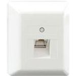 Rutenbeck UAE-Cat.6A iso-8 U Ap rw (13411501)