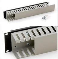 Triton 48,30cm (19") panel 2U with cable trunking (RAB-VP-X04-A1)