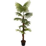 EUROPALMS Fächerpalme, Kunstpflanze, 155cm (82509303)