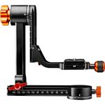 Walimex pro Aluminium Gimbal Head Stativkopf A20 - Hochwertiger 360 Grad Panorama Stativkopf Affenschaukel mit Arca Schnellwechselplatte,Traglast 20 kg, mit Tasche, für DSLR DSLM Spektiv Objektiv, 21961 (1021961)