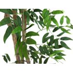 EUROPALMS Ficus Longifolia, Kunstpflanze, 165cm (82506350)